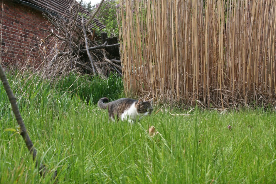 Ein warmer Tag im Garten (mit Maschinengewehr)